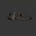 Blue and Brown Scaly Lizard on Black Background with Reflective Surface