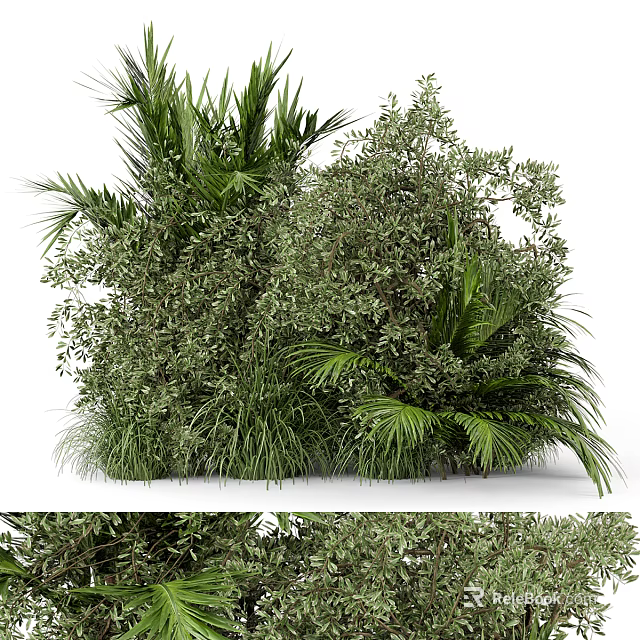 Dense Green Shrubs With Lush Palm Leaves And Fresh Grasses In Garden 3d model 