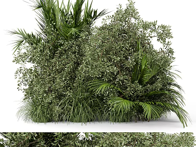 Dense Green Shrubs With Lush Palm Leaves And Fresh Grasses In Garden 3d model