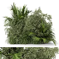 Dense Green Shrubs With Lush Palm Leaves And Fresh Grasses In Garden