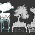 Bonsai Trees with Green Red and Pink Leaves on Wooden Stands in Decorative Pots