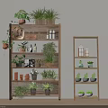 Indoor Multi Tiered Plant Stands With Potted Plants And Decorative Ornaments