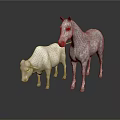 White Horse And Sheep Standing Together On White Background