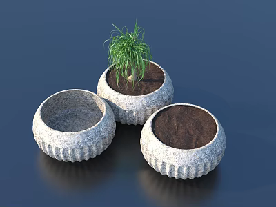 Bonsai Potted Plants With Three Round Stone Pots One Green Plant Two Empty Textured 3d model
