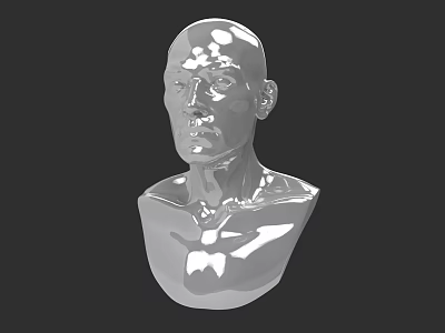 Male Bust Silver 3D Model With Smooth Surface And Black Background 3d model