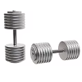 Silver Metal Dumbbells For Fitness Training With Weight Plates And Different Sizes