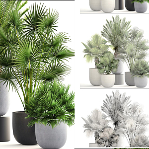 Modern potted plant decoration 3d model