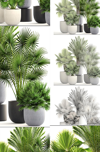 Modern potted plant decoration 3d model