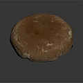 Fresh Brown Cap Mushroom With White Stem Floating On Gray Background 3d model
