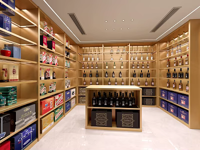 Modern Wine Cellar With Shelves And Bottles 3d model
