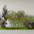 Diverse Plant Combination With Different Trees Shrubs Yellow Purple Flowers Green Bamboo On Green Grass