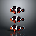 Three Clownfish With Orange And White Stripes On Simple Background 3d model