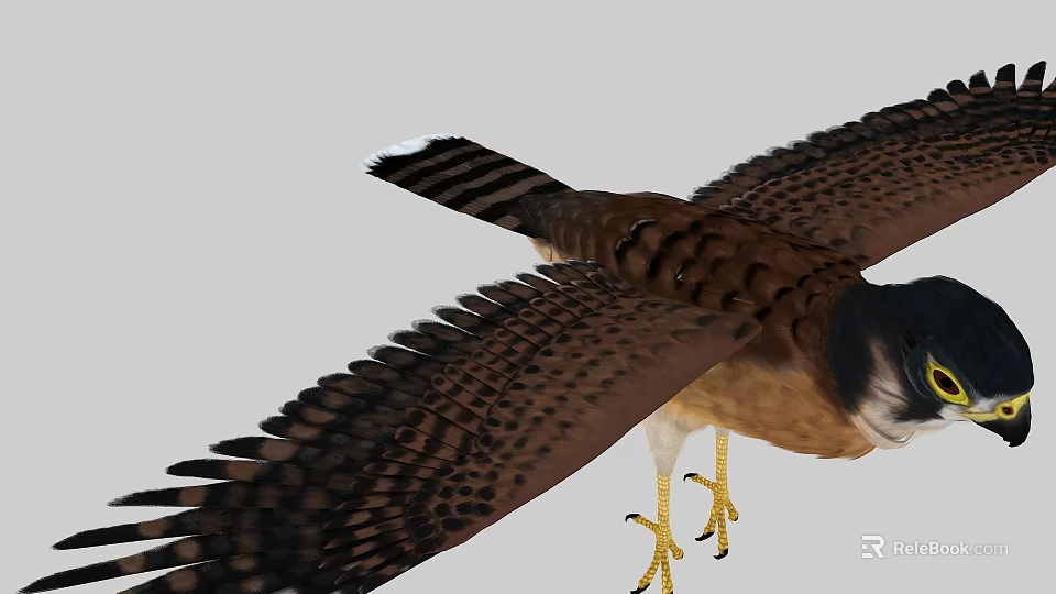 Majestic Falcon Flying With Spread Wings Spotted Feathers And Sharp Yellow Talons 3d model 