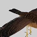 Majestic Falcon Flying With Spread Wings Spotted Feathers And Sharp Yellow Talons