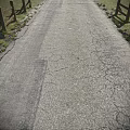 Road Infrastructure Cracked Asphalt Pavement With Grass Verge And Wooden Fence