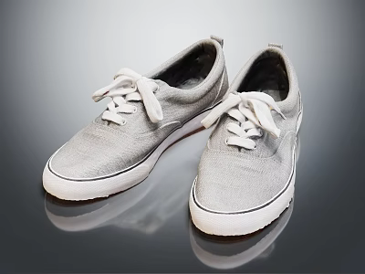 Gray Canvas Casual Shoes With White Laces And White Sole 3d model
