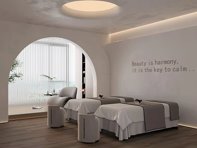 Serene SPA Room With Treatment Beds And Arch Window 3d model
