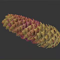 Pine Cone Containing Edible Pine Nuts Natural Healthy Organic Food Source