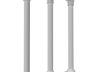 Classical Roman Columns With Different Architectural Styles And Ornate Capital Designs 3d model