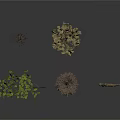Different Plants with Leafy Branches Small Shrubs Fruits and Curved Branch on White Background