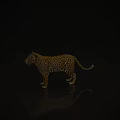 Stunning Realistic Leopard with Spotted Coat Standing on Reflective Dark Background 3d model