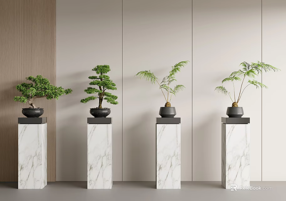 Four Bonsai Potted Plants Displayed On Marble Pedestals With Light Wall Background 3d model 