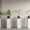 Four Bonsai Potted Plants Displayed On Marble Pedestals With Light Wall Background
