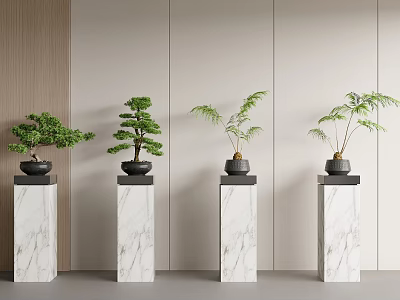 Four Bonsai Potted Plants Displayed On Marble Pedestals With Light Wall Background 3d model