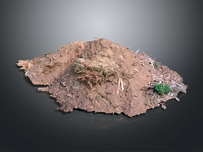 Natural Dirt Pile With Dry Branches And Small Green Plants On Dark Background 3d model