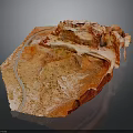 3D Rendered Human Heart Anatomy Model With Detailed Vascular Structure And Muscle Tissue