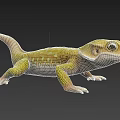 Yellow Reptile Gecko Lizard With Green Spots Large Eyes Scaled Body Curled Tail