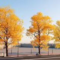 Yellow Leaf Trees in Urban Square with Blue Sky Street Lamps and Benches