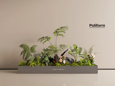 Modern Plant Combination with Ferns Orchids Green Plants and Stones in Poliform Container 3d model