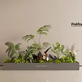 Modern Plant Combination with Ferns Orchids Green Plants and Stones in Poliform Container