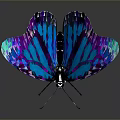 Colorful Blue Purple Metallic Butterfly With Shiny Reflective Wings Against Dark Background