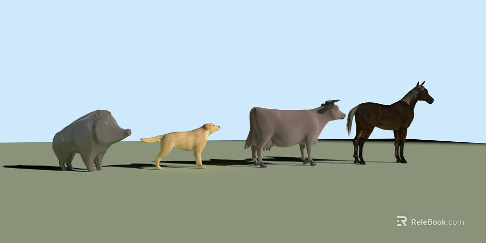 Various Reptile Species Models In Different Colors On Green And Blue Ground 3d model 