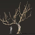 Tall Leafless Tree With Thick Trunk And Standing Figure Against Dark Background
