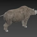 Realistic 3D Rhinoceros Model With Gray Skin Standing On Black Background