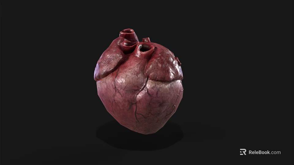 Human Heart As Chest Organ 3D Rendering With Anatomical Structure And Vascular Details 3d model 