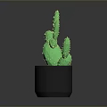 Potted Green Cactus Plant in Black Pot with Orange Soil