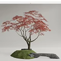 Modern Red Maple Red Maple Landscape Tree Landscape Stone Terrain 3d model