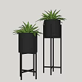 Modern Decorative Potted Plants With Black Pots And Stands Featuring Green Leaves
