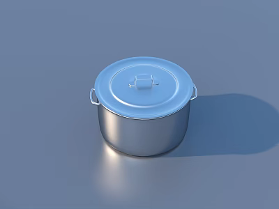 Silver Stainless Steel Cooking Pot With Lid And Two Handles For Kitchen Use 3d model