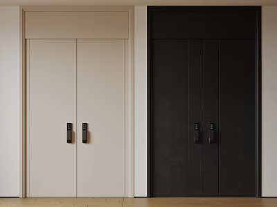 Modern Double Doors Featuring Light And Dark Finishes With Black Handles In Interior 3d model