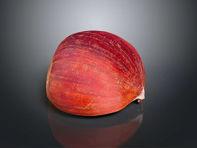 Red Rounded Fruit With Smooth Shiny Surface Isolated On Dark Background 3d model