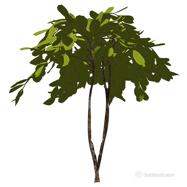 Lush Green Arbor With Twin Trunks And Vibrant Foliage In Natural Setting 3d model 