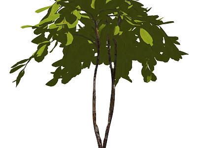 Lush Green Arbor With Twin Trunks And Vibrant Foliage In Natural Setting 3d model