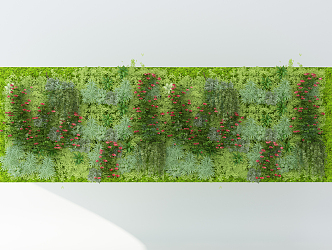 Plant wall 3d model