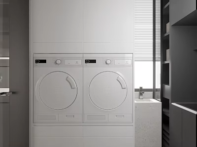 Modern Laundry Room Interior With White Washer Dryer And Cabinet Near Window 3d model