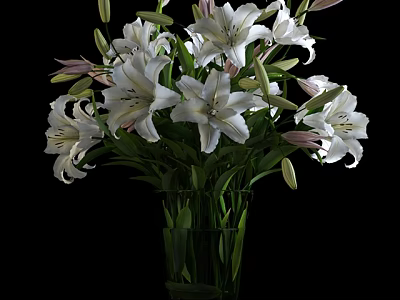 Beautiful White Blooming Lilies in Transparent Glass Vase on Black Background 3d model